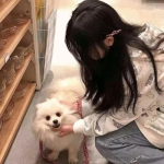 三世情缘online手游下载